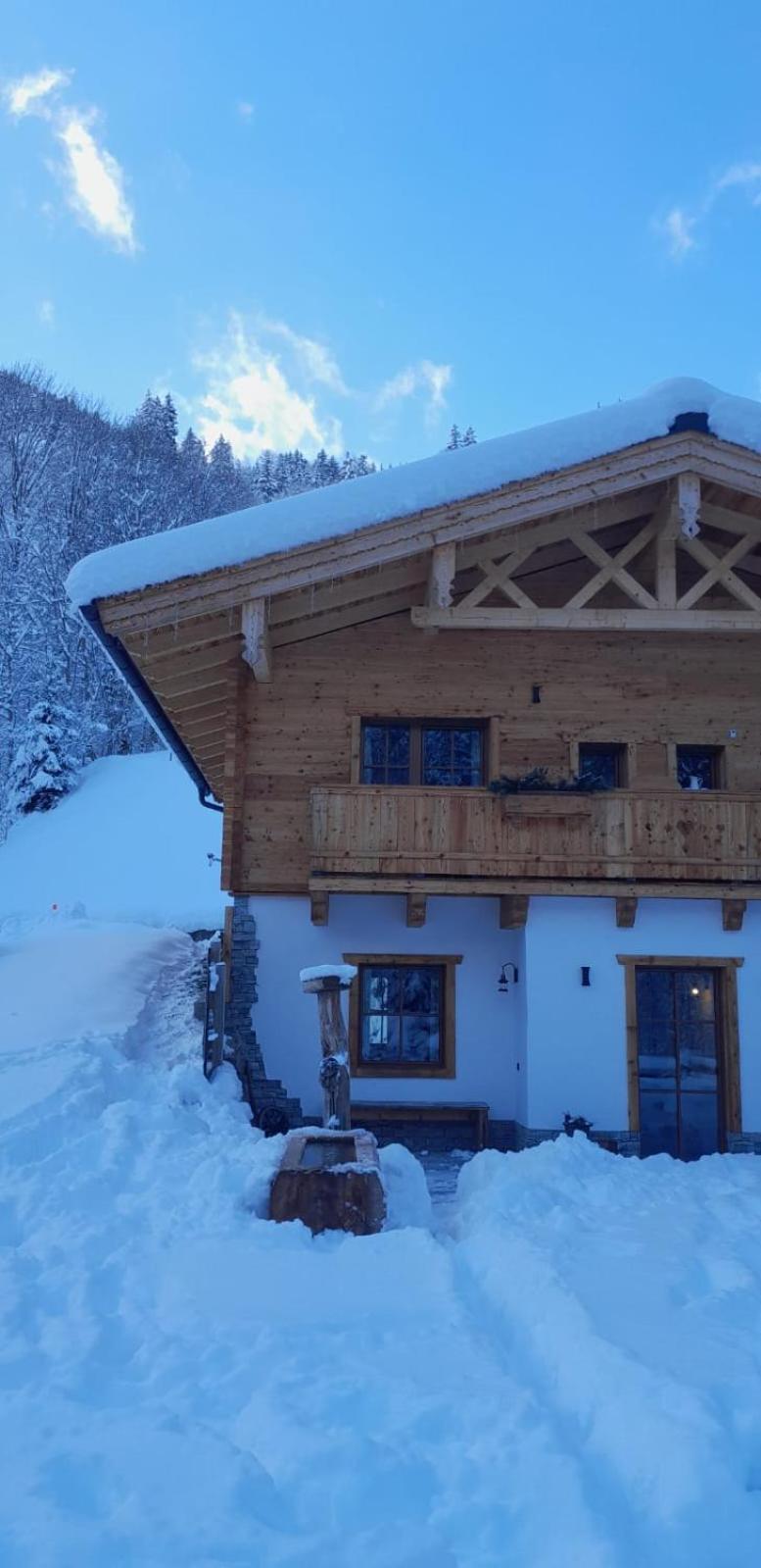 Riedlfeld Chalet Dienten am Hochkonig Bagian luar foto